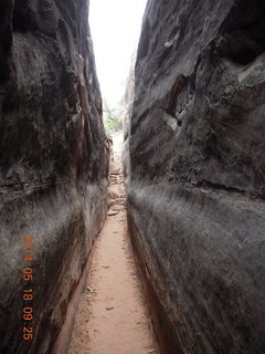 Canyonlands National Park - Needles - Elephant Hill + Chesler Park hike sign