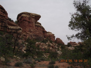 Canyonlands National Park - Needles - Elephant Hill + Chesler Park hike