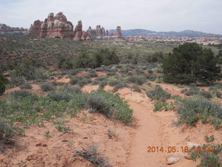 Canyonlands National Park - Needles - Elephant Hill + Chesler Park hike - flowers