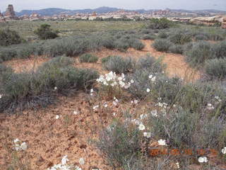 123 8mj. Canyonlands National Park - Needles - Elephant Hill + Chesler Park hike