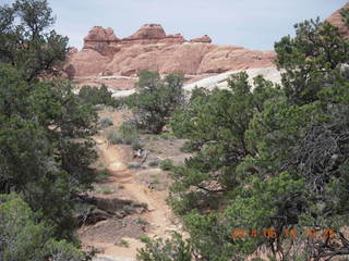 Canyonlands National Park - Needles - Elephant Hill + Chesler Park hike