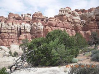 146 8mj. Canyonlands National Park - Needles - Elephant Hill + Chesler Park hike