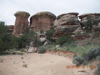 Canyonlands National Park - Needles - Elephant Hill + Chesler Park hike