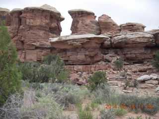 181 8mj. Canyonlands National Park - Needles - Elephant Hill + Chesler Park hike