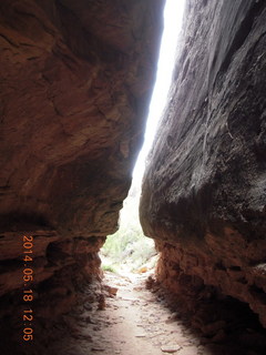 Canyonlands National Park - Needles - Elephant Hill + Chesler Park hike - slot or fissure