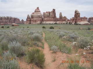 258 8mj. Canyonlands National Park - Needles - Elephant Hill + Chesler Park hike