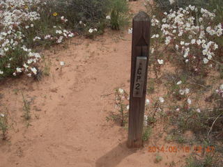 Canyonlands National Park - Needles - Elephant Hill + Chesler Park hike - sign