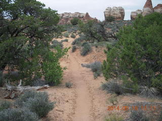 292 8mj. Canyonlands National Park - Needles - Elephant Hill + Chesler Park hike