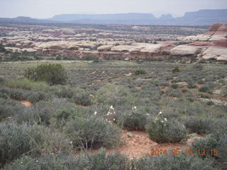 294 8mj. Canyonlands National Park - Needles - Elephant Hill + Chesler Park hike