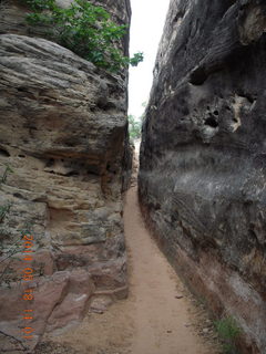 336 8mj. Canyonlands National Park - Needles - Elephant Hill + Chesler Park hike - slot or fissure