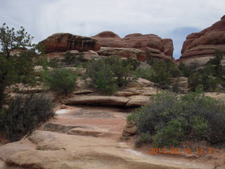 Canyonlands National Park - Needles - Elephant Hill + Chesler Park hike