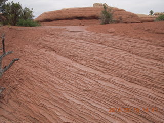 360 8mj. Canyonlands National Park - Needles - Elephant Hill + Chesler Park hike