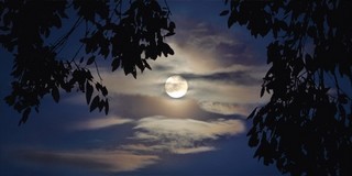 beautiful full moon in clouds