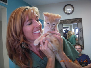 Dr. Krista Gibson and Max, my new kitten