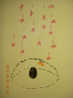 my new GoPro rig on my left wing