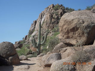 Pinnacle Peak hike - saguaro cactus