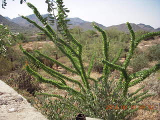 Pinnacle Peak hike - Vince