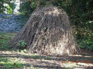 Eric L's pictures - Cheltenham XC - Curtis Arboretum - Josh G and Mike G
