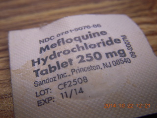 Eric L's pictures - Cheltenham XC - Curtis Arboretum - Josh G