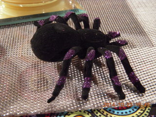 fake spider at HOA party