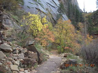 54 8t1. Zion National Park - Observation Point hike