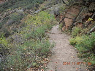 Zion National Park - Observation Point hike