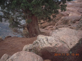 Zion National Park - Observation Point hike - Adam