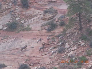 Zion National Park - Observation Point hike - people atop Angels Landing