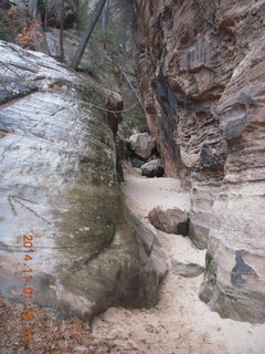 Zion National Park - Observation Point hike - big horn sheep