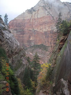 Zion National Park - Observation Point hike - foliage