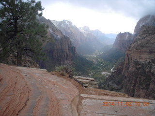 Zion National Park Angels Landing hike - foliage