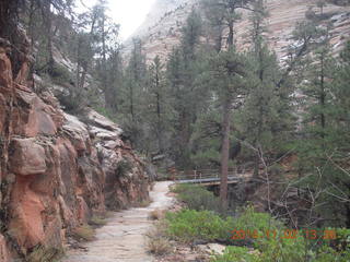 Zion National Park - West Rim hike - bridge