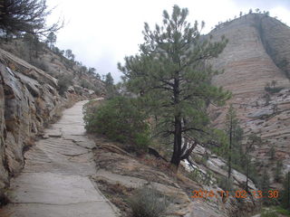 Zion National Park - West Rim hike