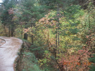 Zion National Park - West Rim hike - foliage