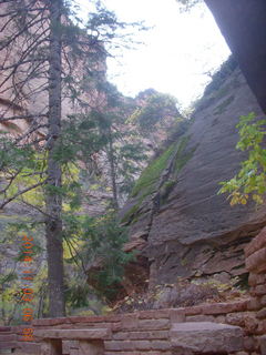 13 8t3. Zion National Park - dawn Riverwalk