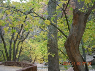 Zion National Park - dawn Riverwalk