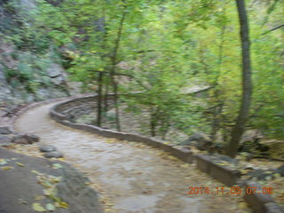 23 8t3. Zion National Park - dawn Riverwalk