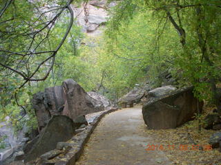 Zion National Park - dawn Riverwalk