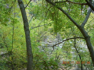 Zion National Park - dawn Riverwalk - Adam