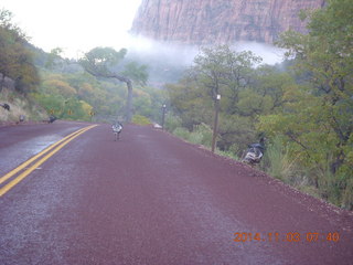 Zion National Park - dawn Riverwalk