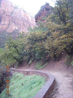 60 8t3. Zion National Park - Emerald Ponds hike