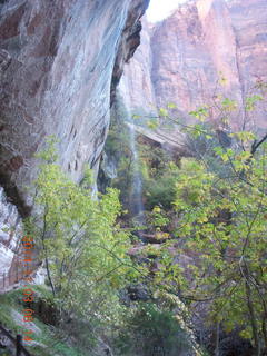 Zion National Park - Emerald Ponds hike - waterfall