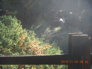 97 8t3. Zion National Park - path along the Virgin River - mist rising from a fence post