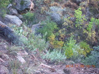 100 8t3. Zion National Park - Watchman hike