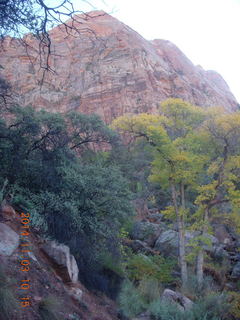 Zion National Park - path along the Virgin River - Adam