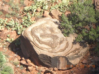 Zion National Park - Watchman hike - funky rock