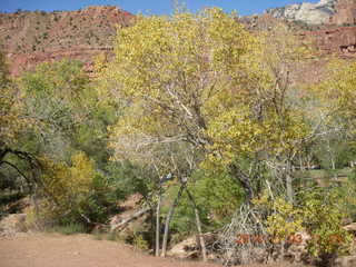 Zion National Park - my shadow