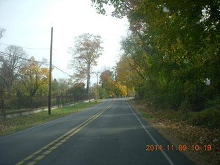 driving in Cheltenham - fall foliage