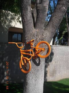 orange bike chained to a tree