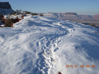 49 8v3. Fisher Towers hike